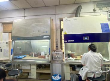 LAB